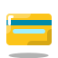 icons8-cartão